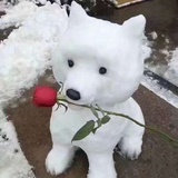 迷茫的小猫