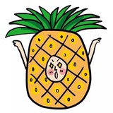 🍍菠萝酸.