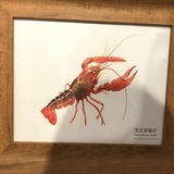 南屏晚钟
