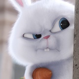 Nemo