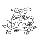 小猫视界