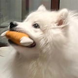 thugOne