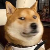 月亮不懂暖暖