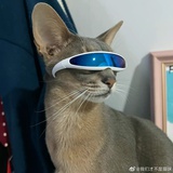 闷死猪蹄