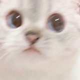 miya