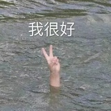 达拉