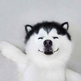 空的境界