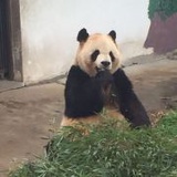胡言乱语