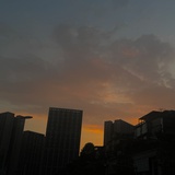 夜莺与玫瑰
