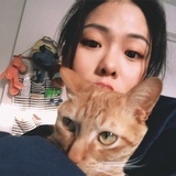 樊不烦
