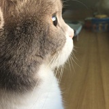 小名当当