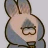 就吃你家大米