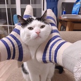 咚咚呛