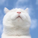 易烊千玺