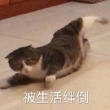 想不出来