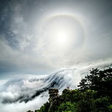 君竹