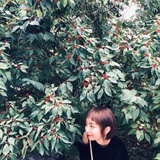 失眠的杰德