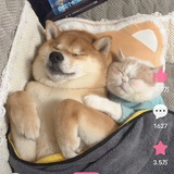 朱秉毅