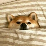  我很瘦