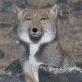 再看就把你杀掉