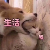 梅根陈