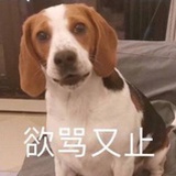 我从来不空大丶