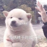 松叶卷卷