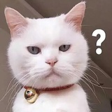 可爱兔兔