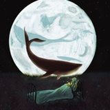 默夜清辉