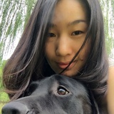 爱查理爱生活