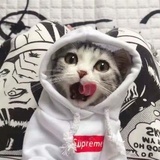 有生之年系列