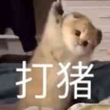 阿玦