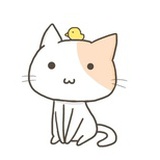 鸵鸟小姐