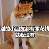 少绾。