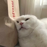 藏羚羊养殖户