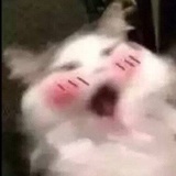 hhh