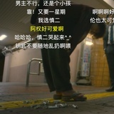 七七鲤