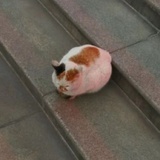布灵克