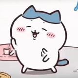 小八也叫哈奇喵