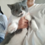 Bellaaaa