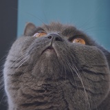 略略略