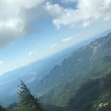 奶茶