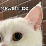 神婆。