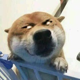自在如常