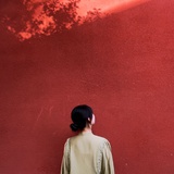 惜羽