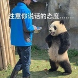 花小杳