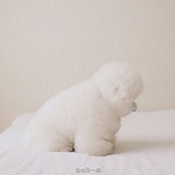 木箱旁边