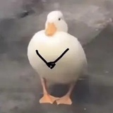 曾经