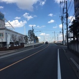 Lionlive