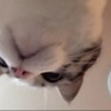 天王盖地虎